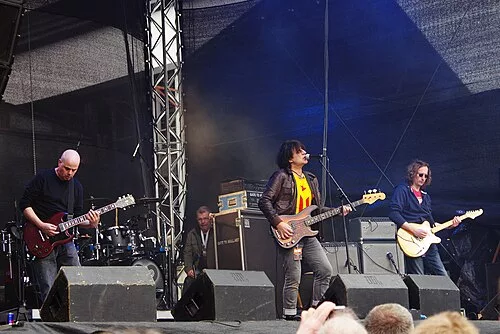 The Chameleons
