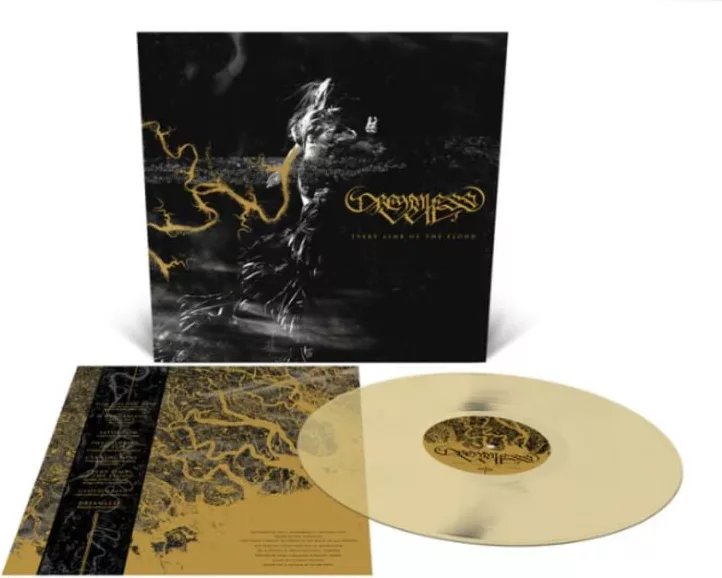 Dreamless Veil — Every limb of the flood