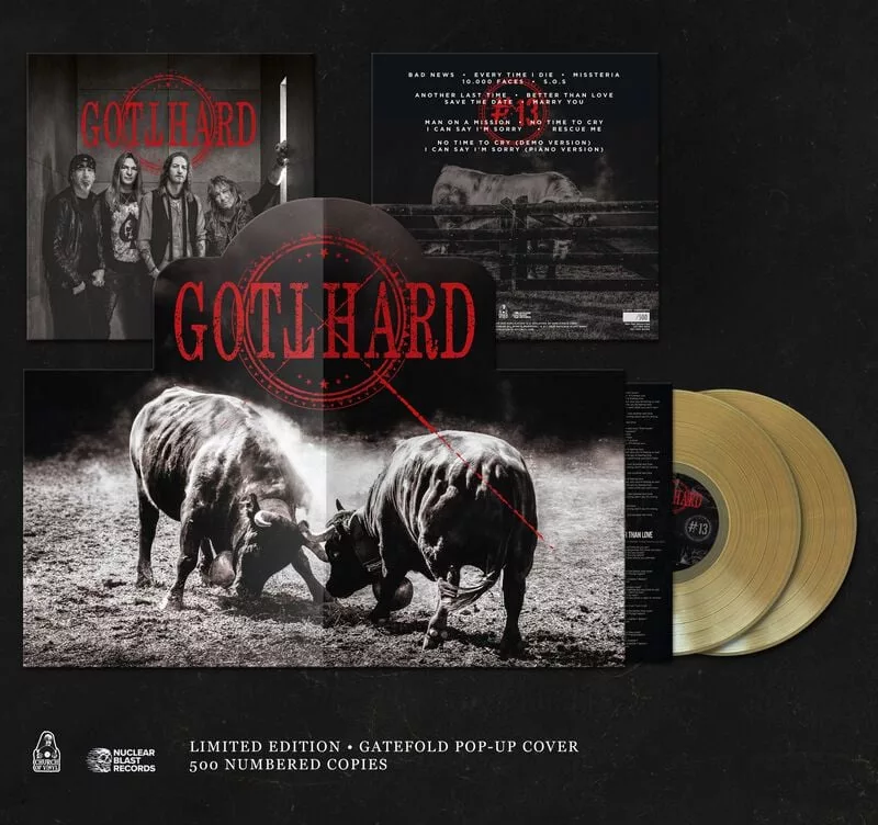 Gotthard — 13