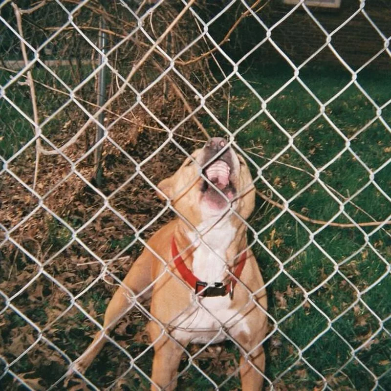 Knocked Loose — Pop Culture