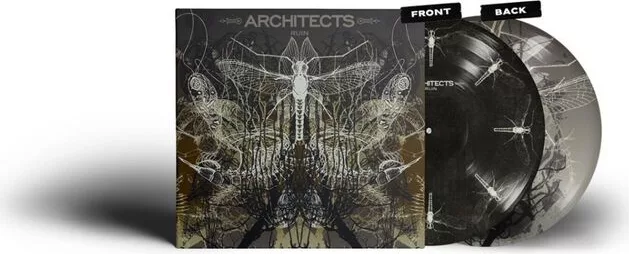 Architects — Ruin