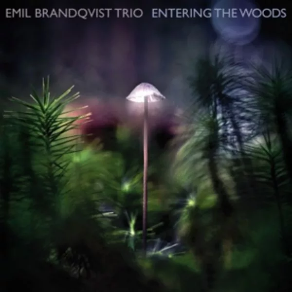 Emil Brandqvist Trio — Entering The Woods
