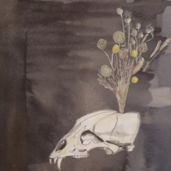 Steve Gunn and Black Twig Pickers — Seasonal Hire