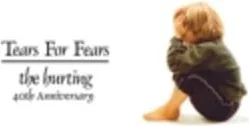 Tears For Fears — The Hurting