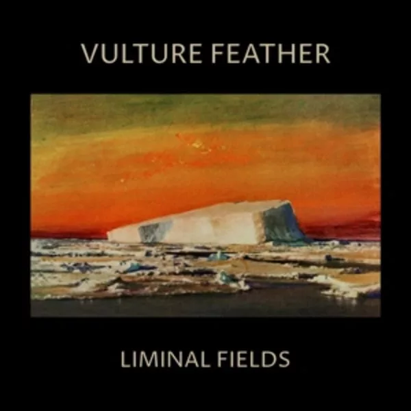 Vulture Feather — Liminal Fields