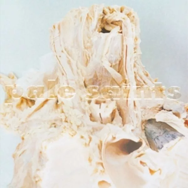 Pale Saints — In Ribbons (30th Anniversary Re:Masters)
