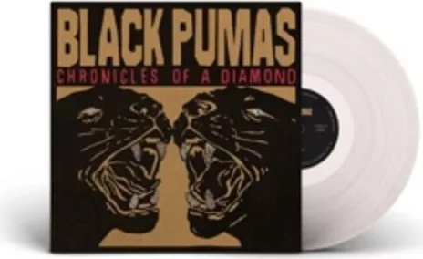 Black Pumas — Chronicles Of A Diamond