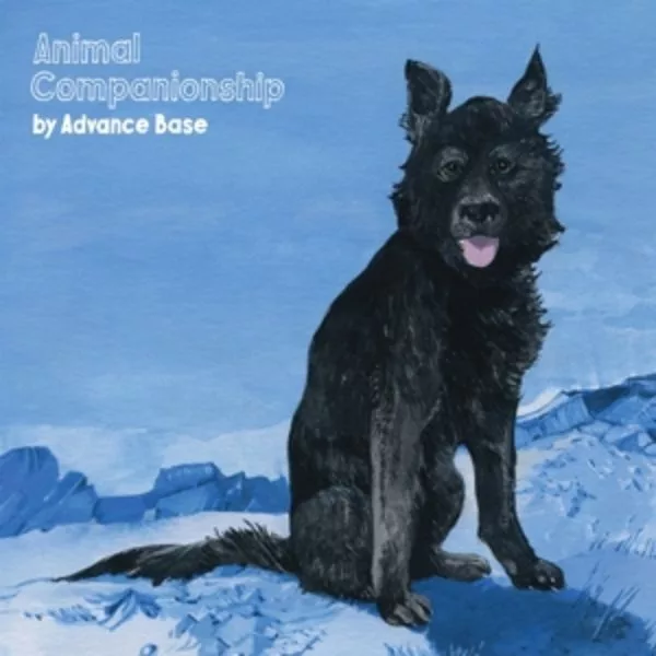 Advance Base — Animal Companionship
