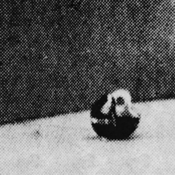 The Conformists — Midwestless