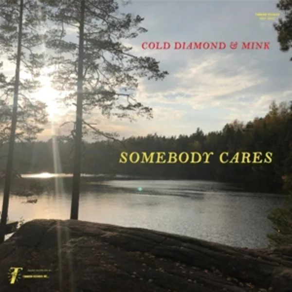 Cold Diamond & Mink — Somebody Cares