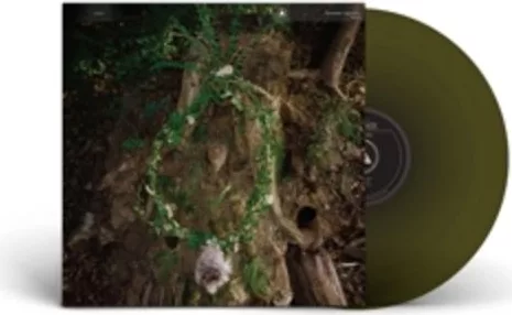 Pharmakon — Maggot Mass