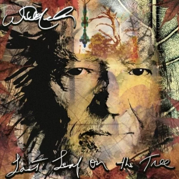 Willie Nelson — Last Leaf On The Tree
