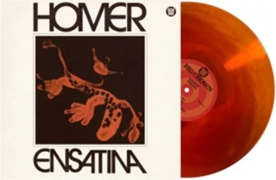 Homer — Ensatina