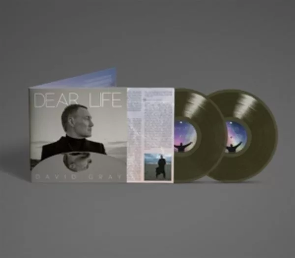 David Gray — Dear Life