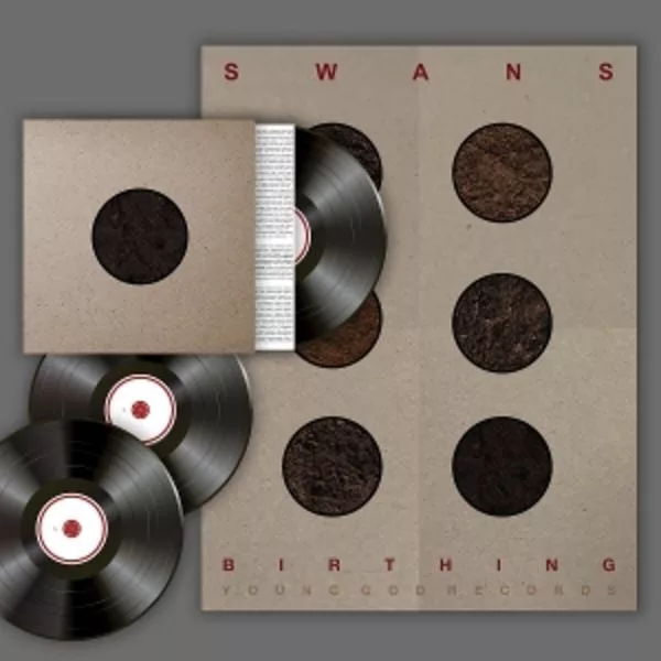 Swans — Birthing