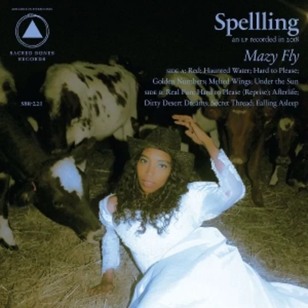 Spellling — Mazy Fly
