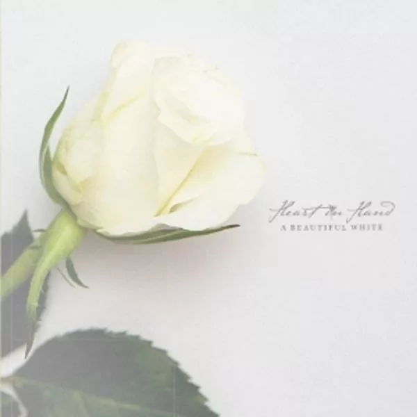 Heart In Hand — A Beautiful White