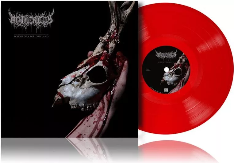 Mental Cruelty — Echoes of a forlorn Land