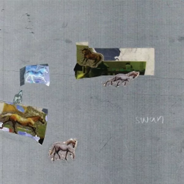 Fazed On A Pony — Swan