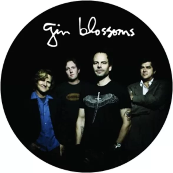 Gin Blossoms — Live In Concert