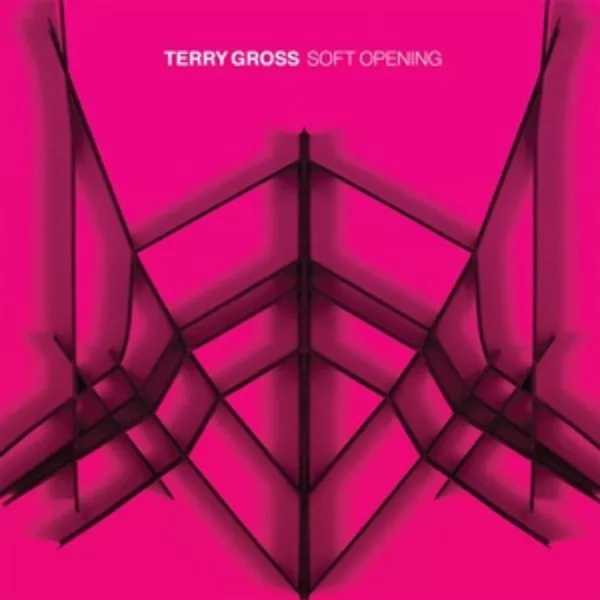 Terry Gross — Soft Opening