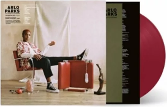 Arlo Parks — Collapsed In Sunbeams