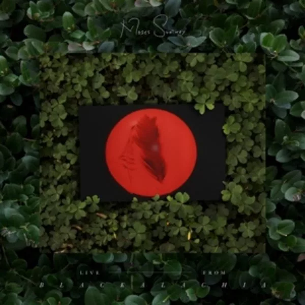 Moses Sumney — Live From Blackalachia