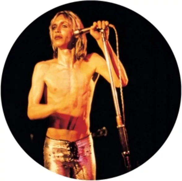 Iggy And The Stooges — More Power