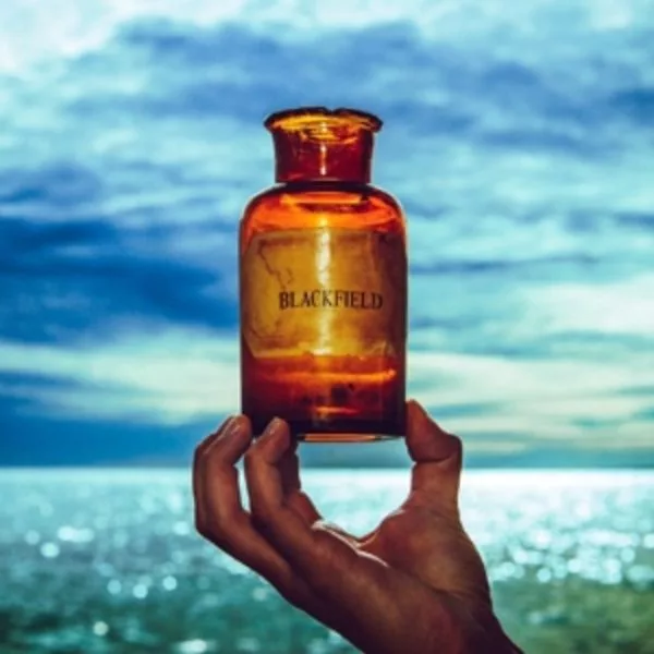 Blackfield — V