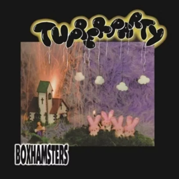 Boxhamsters — Tupperparty
