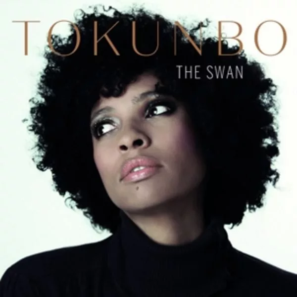 Tokunbo Akinro — The Swan