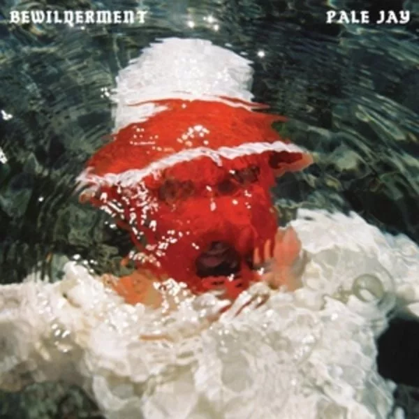 Pale Jay — Bewilderment